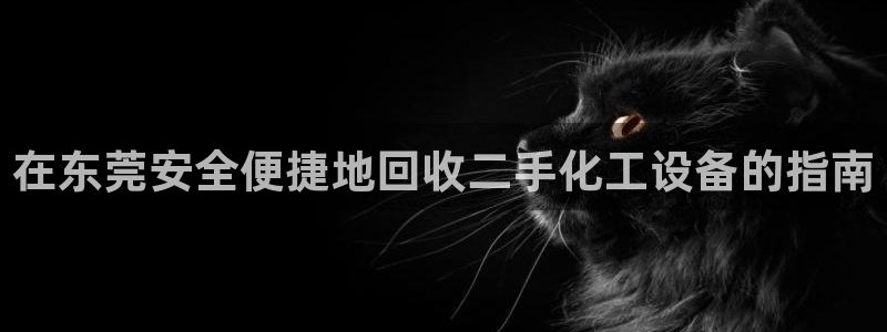 新城平台登录入口官网网址