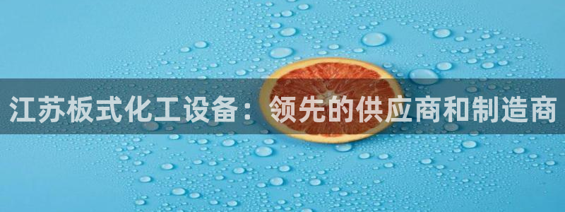 新城平台登录入口官网查询