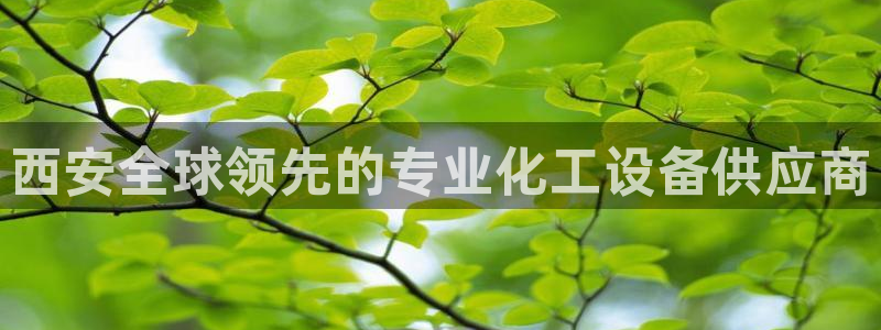 新城平台登录入口官网下载手机版