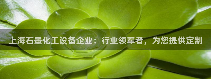 新城平台注册流程图