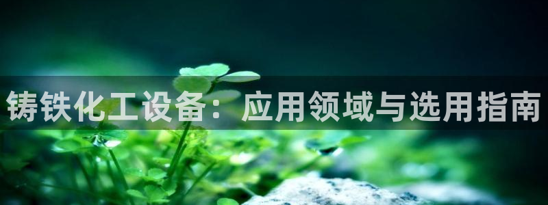 新城平台线路登录不上去了怎么办