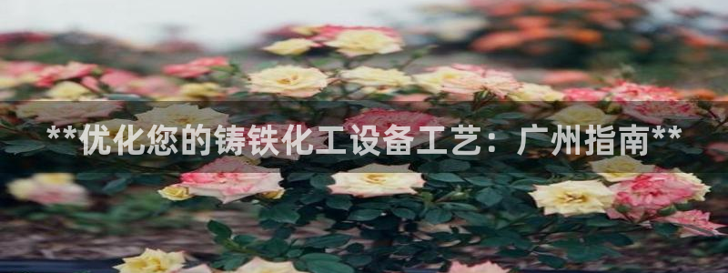 新城平台代理怎么做