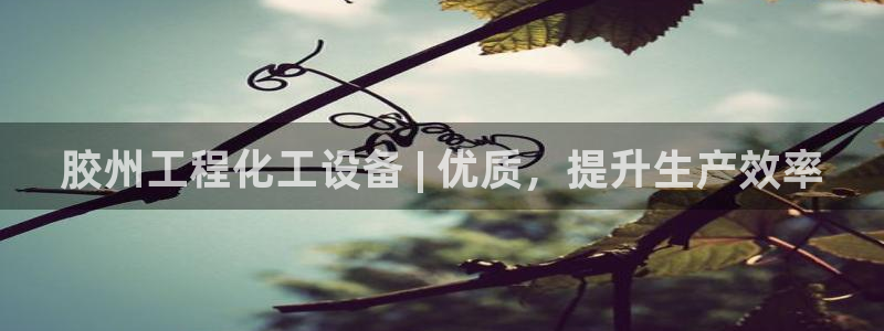 新城平台平台最新活动