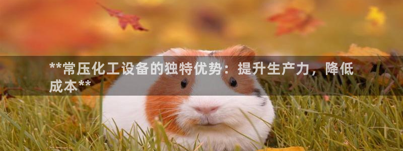 新城平台登录入口官网下载安装