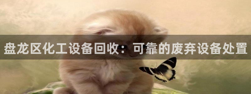 新城平台登录入口官网首页查询