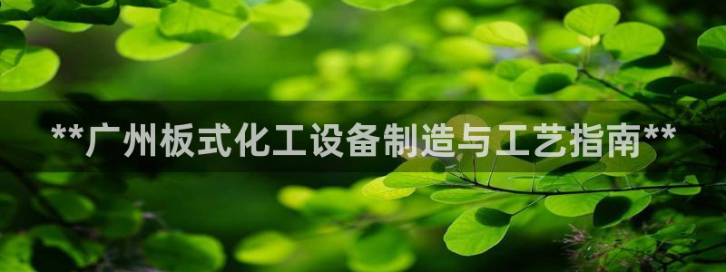 新城平台登录入口网站