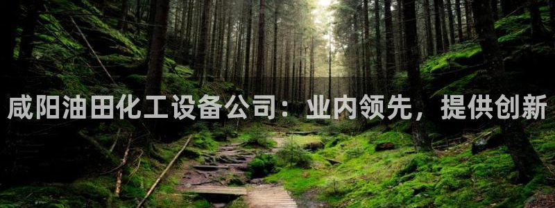 新城平台注册公司流程图