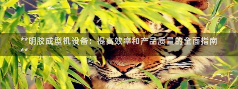 新城平台登录入口官网查询