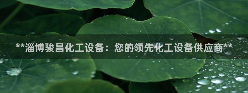 新城平台注册资金多少亿