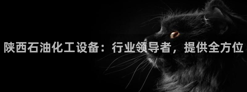 新城平台主管