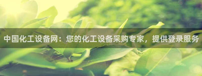 新城平台代理注册公司