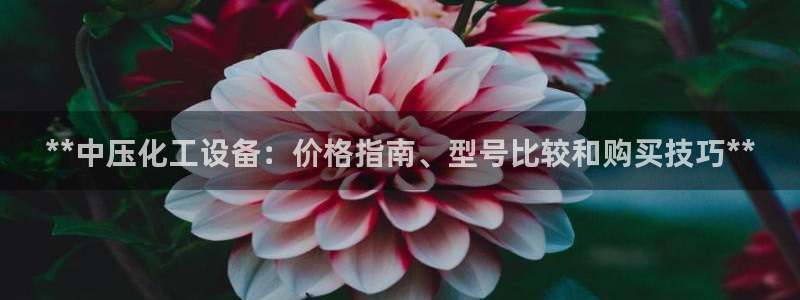 新城平台线路登录不上去