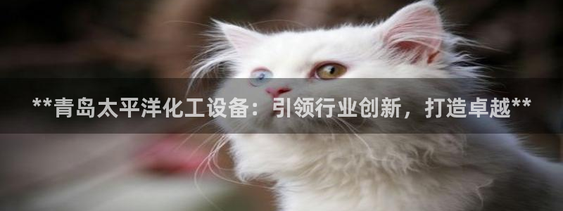 新城平台注册登录地址是什么