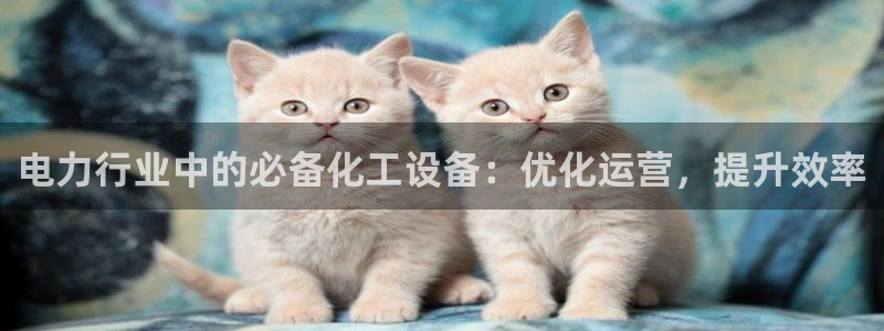 新城平台登录密码忘了怎么找回