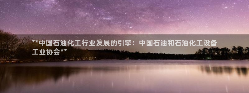新城平台登陆