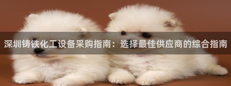新城平台主管