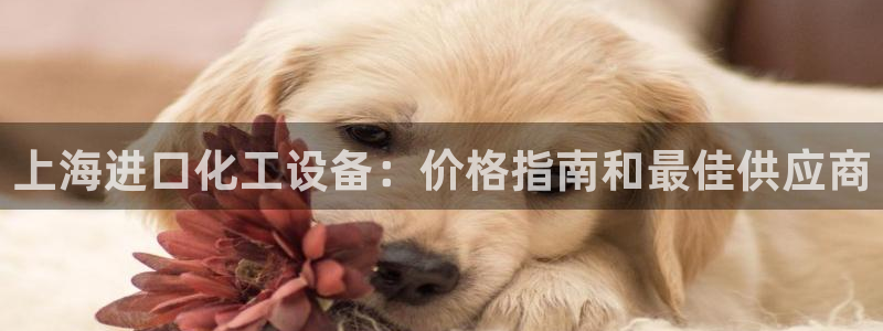 新城平台代理注册条件