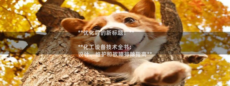 新城平台官网首页