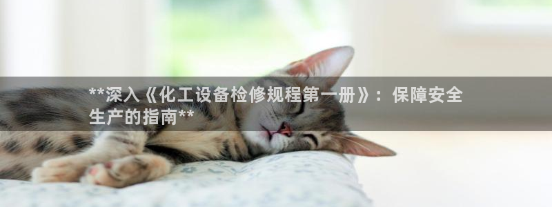 新城平台是干嘛的公司