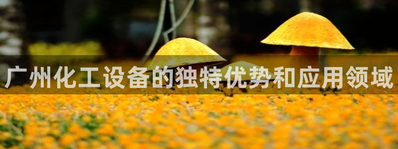 新城平台注册公司流程视频