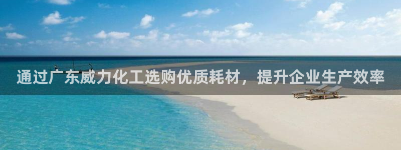 新城平台总代理是谁