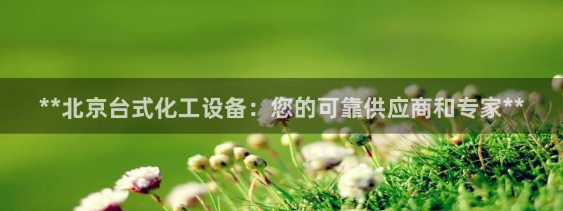新城平台登录入口官网查询网址