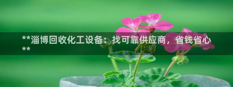 新城平台官网注册流程
