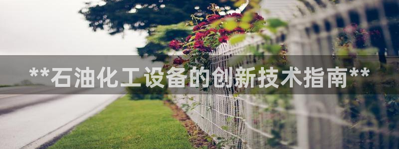 新城平台是干嘛的公司啊