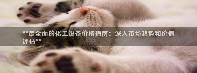 新城平台线路登录不上去怎么办呀