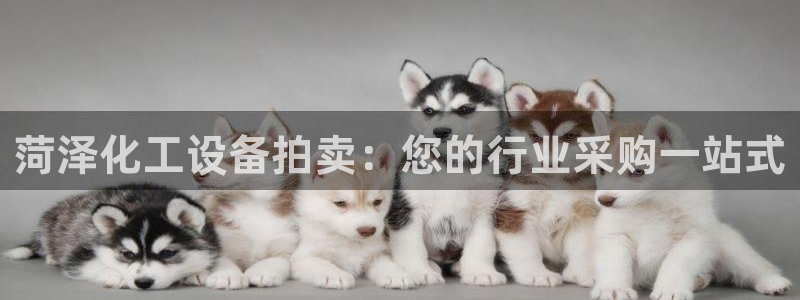 新城平台注册流程