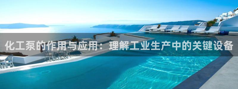 新城平台官网首页入口