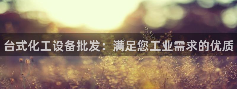 新城平台登录入口网址
