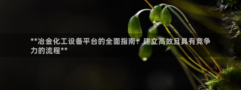新城平台注册登录地址怎么填