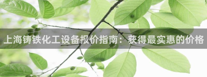 新城平台代理注册