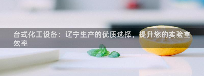 新城平台负责人是谁