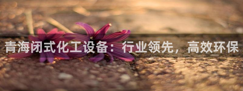 新城平台登陆