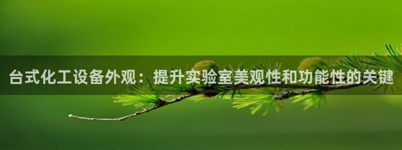 新城平台登录入口官网下载手机版