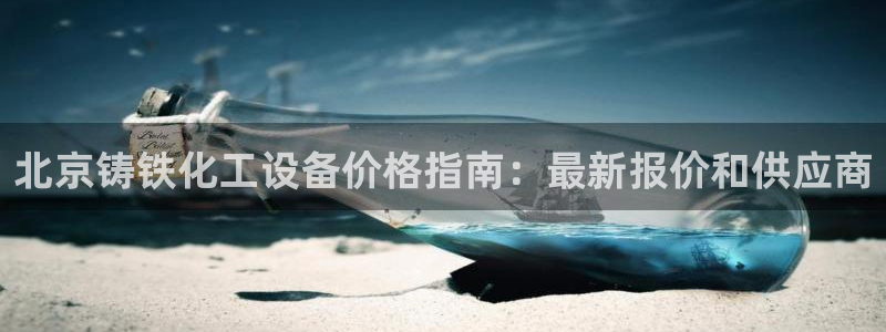 新城平台登录入口官网网址是什么