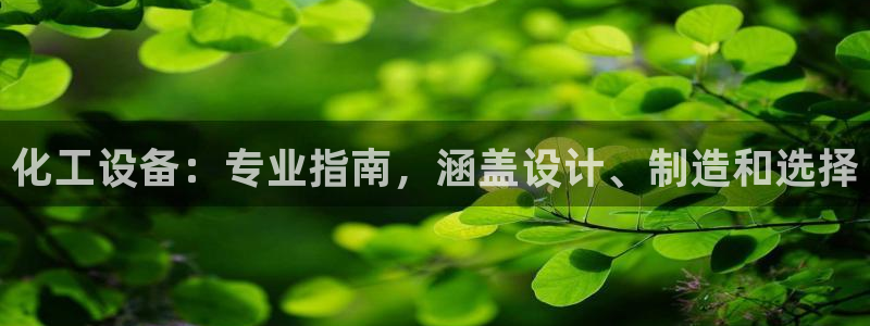 新城平台登录入口官网查询