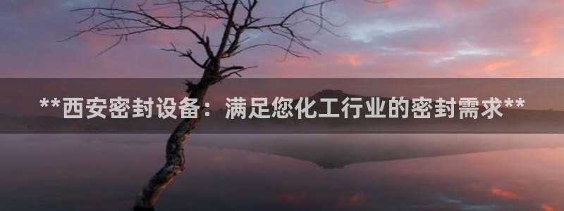 新城平台登录入口官网下载