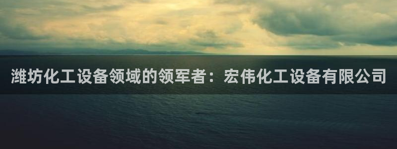 新城平台注册公司流程
