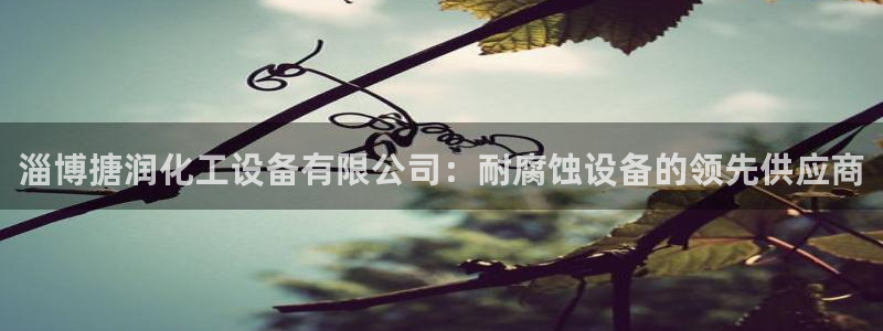 新城平台登录入口官网网址是什么