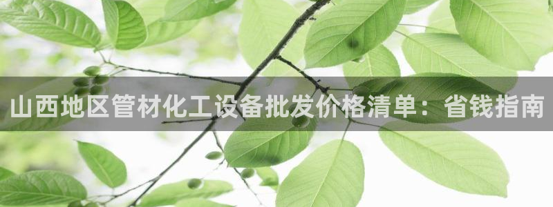 新城平台登录入口官网首页