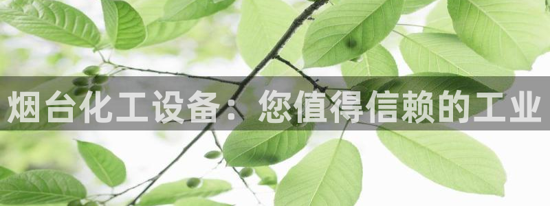 新城平台线路登录不上去了