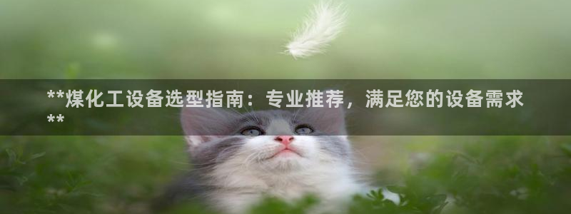 新城平台登录密码忘了怎么找回