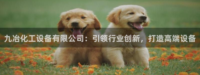 新城平台注册资金多少钱
