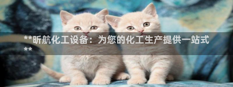 新城平台注册资金多少合适