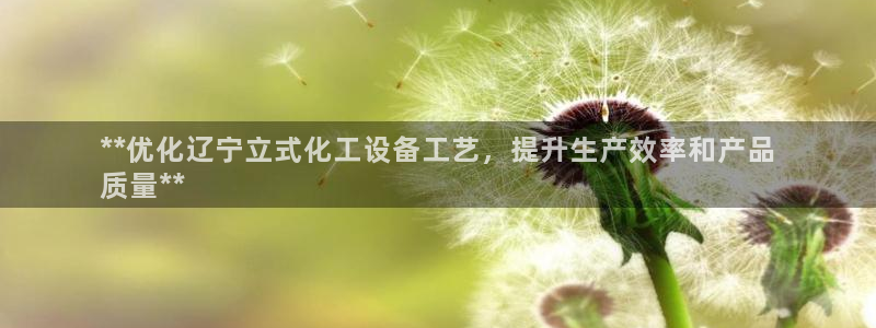 新城平台注册公司流程视频