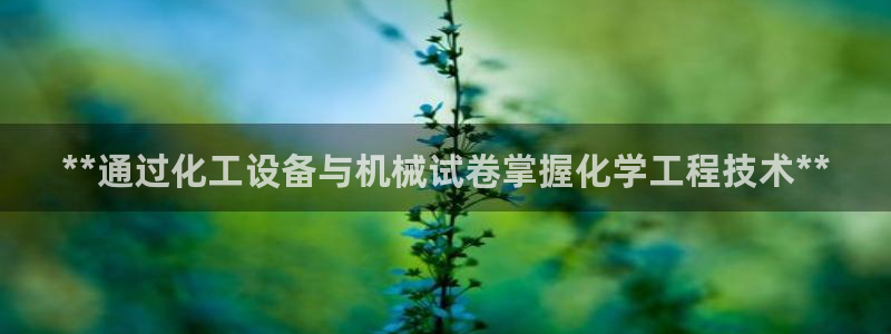 新城平台平台最新活动消息