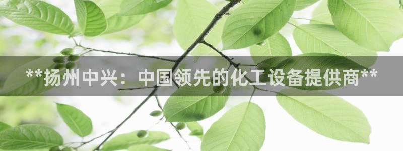 新城平台平台最新活动有哪些：**扬州中兴：中国领先